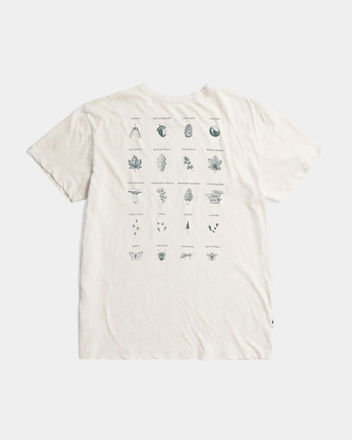 TreeShirt Forest Ecosystem Pumice 1 TreeShirt Forest Ecosystem Pumice