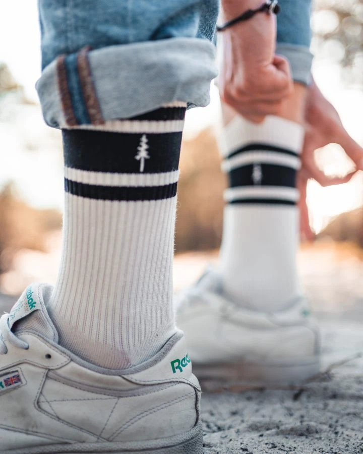 TreeSocks Stripes College Bundle 2 TreeSocks Stripes College Bundle – Bild 2